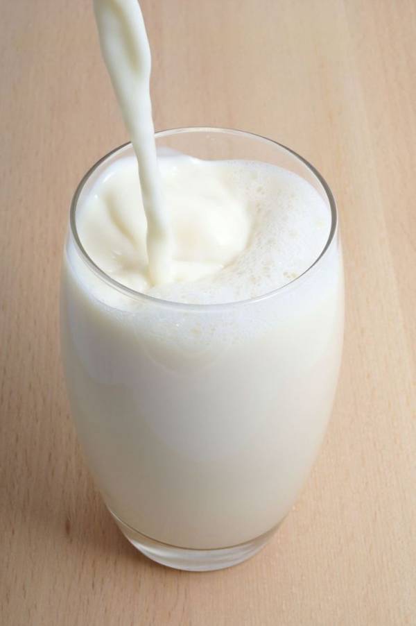 SICAK SÜT